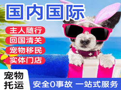 腾鳌空运地址国际宠物托运 【国